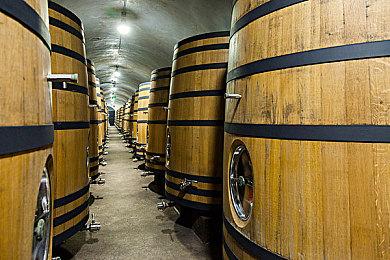 报复IGN日本？《死亡搁浅2》IGN法国仅给出6分评价